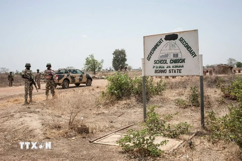 Binh sỹ Nigeria tăng cường tuần tra tại bang Borno, nhằm ngăn chặn những vụ tấn công khủng bố của Boko Haram. (Nguồn: AFP/TTXVN)