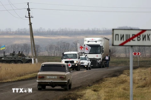 Đoàn xe của Hội Chữ thập đỏ chuyển hàng viện trợ cho người dân Ukraine sống tại làng Pischevik thuộc vùng Donetsk, Ukraine. (Nguồn: AFP/TTXVN)