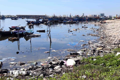 Tình trạng ô nhiễm môi trường nghiêm trọng tại Đà Nẵng