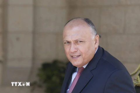 Ngoại trưởng Ai Cập Sameh Shoukry. (Nguồn: EPA/TTXVN)