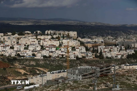 Toàn cảnh khu định cư Do Thái Pisgat Zeev ở đông Jerusalem, ngày 15/1. (Nguồn: AFP/TTXVN)