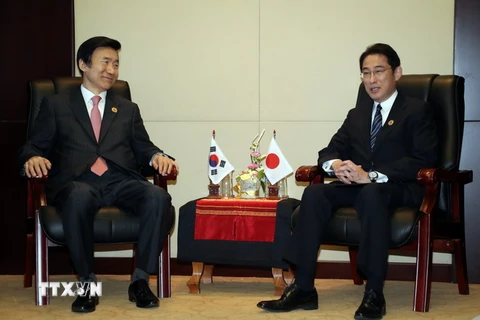 Ngoại trưởng Nhật Bản Fumio Kishida có cuộc gặp với Ngoại trưởng Hàn Quốc Yun Byung Se thảo luận về vấn đề 'phụ nữ mua vui.' (Nguồn: EPA/TTXVN)