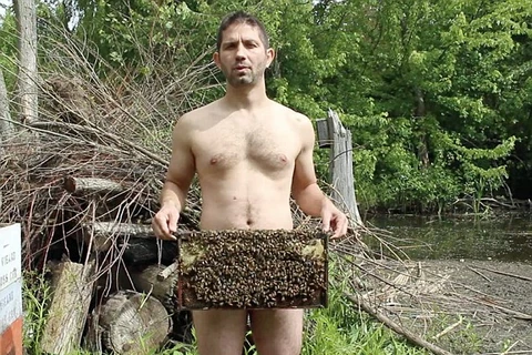 Charles Wieand và đàn ong. (Nguồn: dailymail.co.uk)