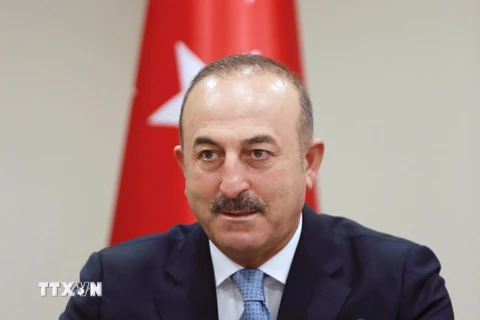 Ngoại trưởng Thổ Nhĩ Kỳ Mevlut Cavusoglu phát biểu trong cuộc họp báo ở Ankara ngày 29/7. (Nguồn: AFP/TTXVN)