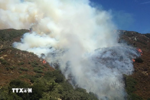 Khói bốc lên trong vụ cháy rừng tại San Bernardino, bang California, ngày 7/8. (Nguồn: EPA/TTXVN)