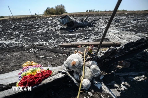 Tưởng niệm nạn nhân vụ rơi máy bay MH17 tại khu vực gần làng Hrabove, Ukraine ngày 26/7/2014. (Nguồn: AFP/TTXVN)