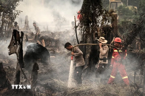 Cảnh sát và nhân viên cứu hỏa Indonesia nỗ lực dập các đám cháy rừng ở Rokan Hulu ngày 28/8. (Nguồn: EPA/TTXVN)