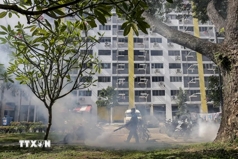 Phun thuốc khử trùng nhằm ngăn chặn sự lây lan của virus Zika tại Singapore ngày 31/8. (Nguồn: EPA/TTXVN)