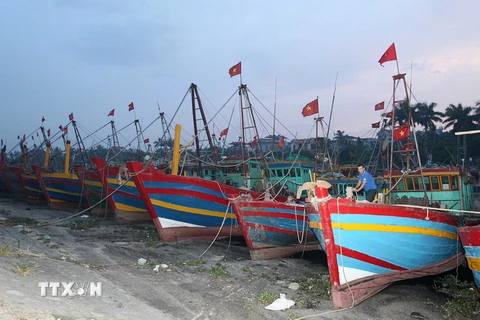 Ngư dân neo thuyền vào nơi trú bão tại cảng cá Tân Sơn, huyên Thái Thụy, Thái Bình. (Ảnh: Quốc Khánh/TTXVN)