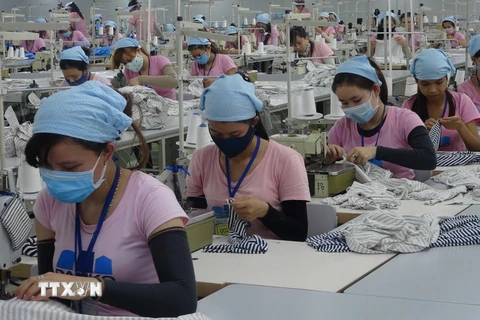 Sản xuất quần áo tại Công ty trách nhiệm hữu hạn một thành viên Dệt may PanKo Tam Thăng. (Ảnh: Đoàn Hữu Trung/TTXVN)