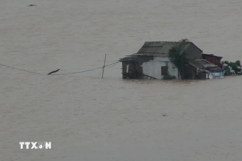 Một nhà dân tại xã Quảng Hải, thị xã Ba Đồn bị nước lũ bao vây sáng 1/11. (Ảnh: Đức Thọ/TTXVN)
