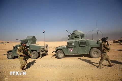 Binh sỹ Iraq trong chiến dịch truy quét IS tại khu vực Hammam al-Alil, phía Nam Mosul ngày 6/11. (Nguồn: AFP/TTXVN)