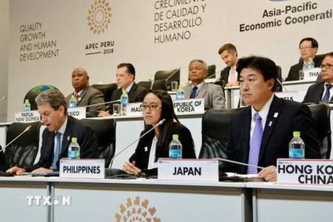 Các Bộ trưởng Tài chính APEC trong một cuộc họp. (Nguồn: Kyodo/TTXVN)