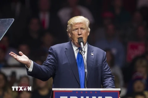 Ông Donald Trump trong cuộc vận động tranh cử tại bang New Hampshire ngày 7/11. (Nguồn: AFP/TTXVN)