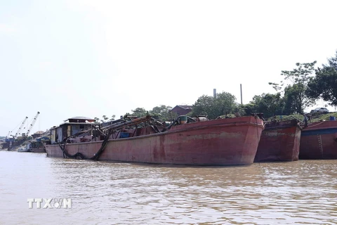 Số tàu khai thác cát trái phép trên sông Hồng bị Phòng Cảnh sát đường thủy (PC68) Công an thành phố Hà Nội bắt giữ tại Cảng Hồng Vân ở huyện Thường Tín ngày 4/11. (Ảnh: Doãn Tấn/TTXVN)