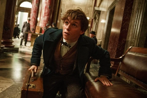 Scamander trong 'Fantastic Beasts and Where to Find Them."(Nguồn: theguardian.com)