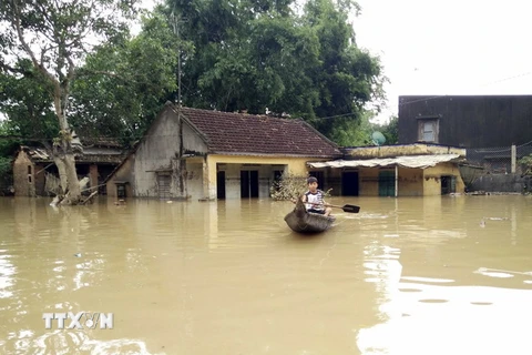 Phường Nhơn Hòa, thị xã An Nhơn, Bình Định bị nước lũ cô lập. (Ảnh: Nguyên Linh/TTXVN)