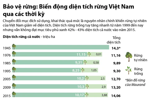 [Infographics] Diện tích rừng Việt Nam biến động qua các thời kỳ