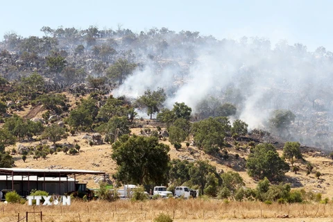 Nắng nóng gây ra nhiều vụ cháy rừng tại vùng Upper Swan, thành phố Perth, Tây Australia ngày 9/1/2017. (Nguồn: EPA/TTXVN)