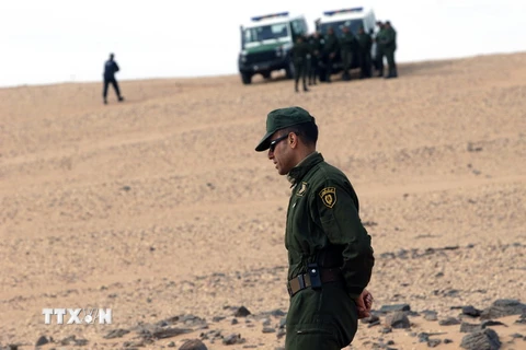 Lực lượng an ninh Algeria. (Nguồn: AFP/TTXVN)