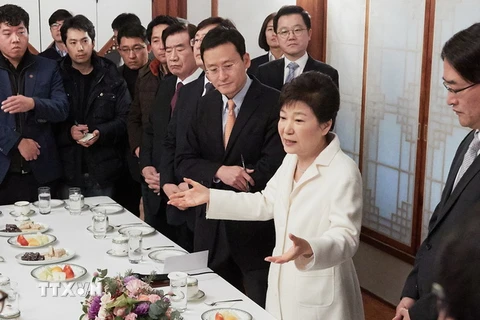 Tổng thống Hàn Quốc Park Geun-hye trong cuộc gặp báo giới ở Seoul ngày 1/1. (Nguồn: Yonhap/TTXVN)