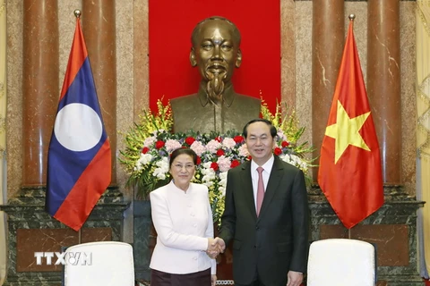Chủ tịch nước Trần Đại Quang tiếp Chủ tịch Quốc hội nước Cộng hòa Dân chủ Nhân dân Lào Pany Yathotou. (Ảnh: Nhan Sáng/TTXVN)