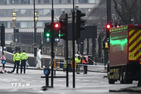 Nhân viên điều tra tại hiện trường vụ tấn công bên ngoài tòa nhà Quốc hội Anh ở London ngày 23/3. (Nguồn: AFP/TTXVN)