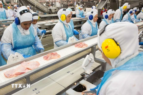 Dây chuyền chế biến thịt ở Lapa, bang Parana, Brazil ngày 21/3. (Nguồn: AFP/TTXVN)