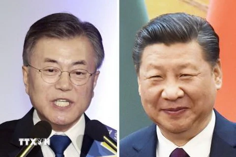 Tân Tổng thống Hàn Quốc Moon Jae-in (trái) và Chủ tịch Trung Quốc Tập Cận Bình (phải). (Nguồn: Kyodo/TTXVN)
