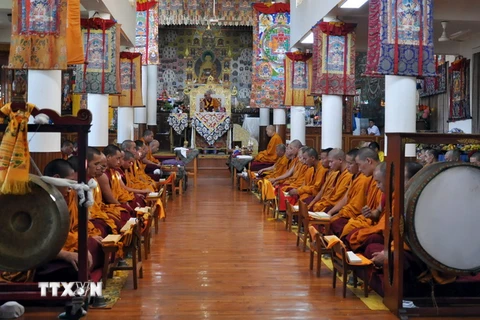 Các nhà sư cầu nguyện trong ngày lễ Phật Đản tại chùa Tsuglagkhang ở McLeod Ganj, Ấn Độ ngày 20/5/2016. (Nguồn: EPA/ TTXVN)