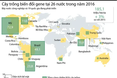 [Infographics] Thông tin về cây trồng biến đổi gene tại 26 quốc gia