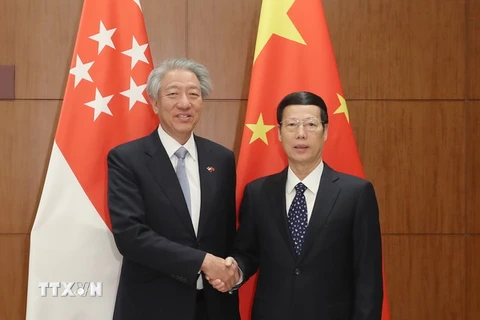 Phó Thủ tướng Trung Quốc Trương Cao Lệ (ảnh, phải), và người đồng cấp Singapore Tiêu Chí Hiền (ảnh, trái) trong một cuộc gặp. (Nguồn: THX/TTXVN) 