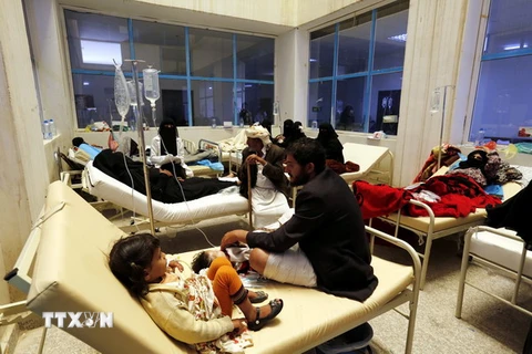 Điều trị cho các bệnh nhân nhiễm tả tại một bệnh viện ở Sanaa ngày 20/5. (Nguồn: EPA/TTXVN)