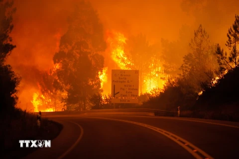 Ngọn lửa dữ dội trong vụ cháy rừng ở Pedrogao Grande, quận Leiria ngày 17/6. (Nguồn: EPA/TTXVN)