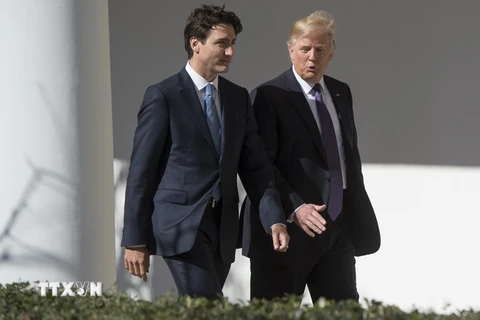 Thủ tướng Canada Justin Trudeau (trái) trong cuộc gặp với Tổng thống Mỹ Donald Trump (phải) tại Washington, DC nhân chuyến thăm Mỹ ngày 13/2. (Nguồn: AFP/TTXVN)
