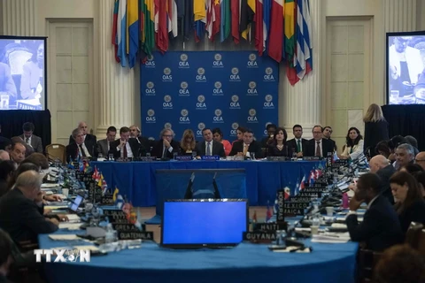 Toàn cảnh cuộc họp của OAS về tình hình Venezuela. (Nguồn: AFP/TTXVN)