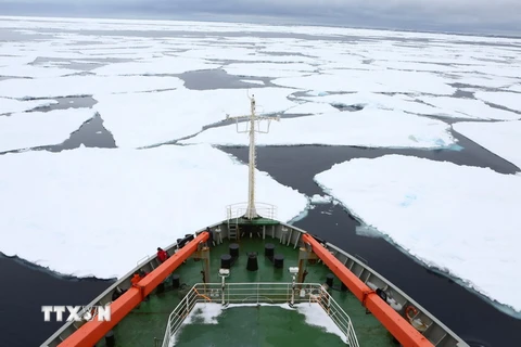 Những tảng băng lớn trên Biển Ross ở Nam Cực ngày 12/11/2016. (Nguồn: AP/TTXVN)