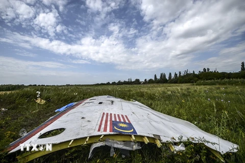 Mảnh vỡ máy bay MH17 tại khu vực gần làng Grabove, Donetsk, Ukraine ngày 20/7/2014. (Nguồn: AFP/TTXVN)