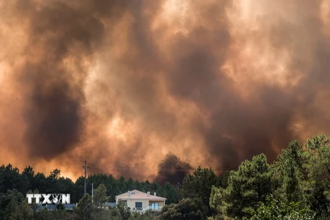 Khói lửa bốc ngùn ngụt trong vụ cháy rừng ở Castelo Branco, miền trung Bồ Đào Nha ngày 24/7. (Nguồn: EPA/TTXVN)
