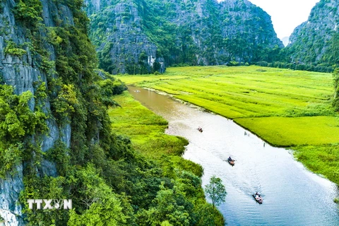 Du khách đi thuyền trên dòng Ngô Đồng tham quan cánh đồng lúa trải dài ở Ninh Bình. (Ảnh: Minh Đức/TTXVN)