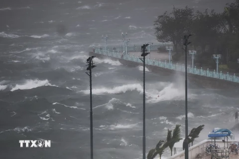 Sóng lớn ở cảng Victoria khi bão Hato quét qua Hong Kong ngày 23/8. (Nguồn: THX/TTXVN)
