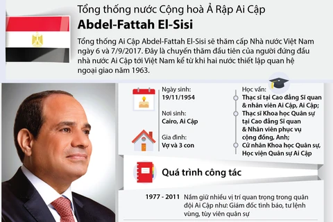 [Infographics] Tổng thống Ai Cập đầu tiên thăm Việt Nam