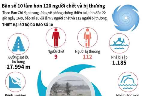 [Infographics] Bão số 10 làm hơn 120 người chết và bị thương