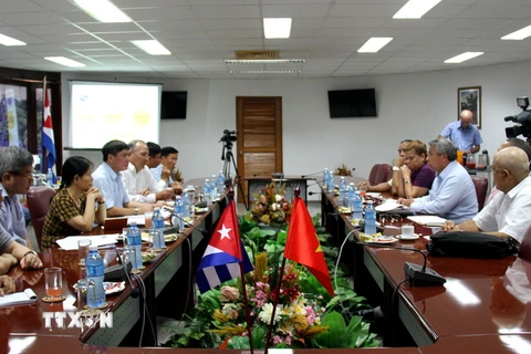 Hội đàm giữa Đoàn đại biểu Tổng Liên đoàn Lao động Việt Nam với Trung tâm những người lao động Cuba. (Ảnh: Lê Hiền/TTXVN)