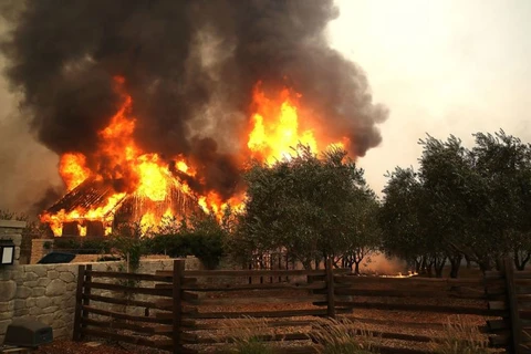 Hiện trường vụ cháy rừng. (Nguồn: Getty Images)