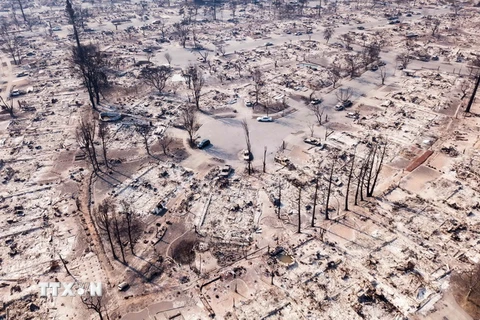 Khu vực Coffey Park ở Santa Rosa, California bị thiêu rụi do cháy rừng, ngày 11/10. (Nguồn: AFP/TTXVN)