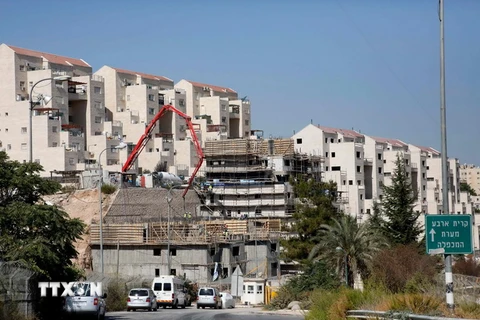 Xây nhà tại khu định cư Kiryat Arba, phía đông Hebron, Bờ Tây ngày 24/8. (Nguồn: AFP/TTXVN)