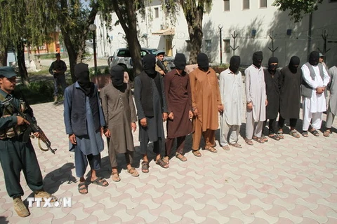 Phiến quân Taliban bị bắt giữ trong chiến dịch truy quét khủng bố ở tỉnh Nangarhar, Afghanistan ngày 18/9. (Nguồn: THX/TTXVN)
