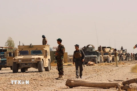 Lực lượng an ninh Afghanistan trong chiến dịch chống phiến quân tại khu vực Nad Ali, tỉnh Helmand ngày 13/10. (Nguồn: THX/TTXVN)