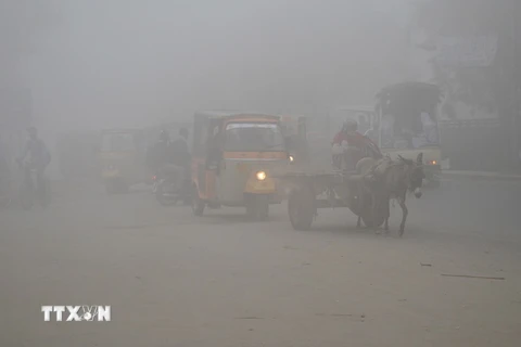 Các phương tiện lưu thông trong bầu không khí mù mịt tại Lahore, Pakistan ngày 4/11. (Nguồn: THX/TTXVN)